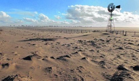 17 de junio, Día Mundial de la Lucha contra la Desertificación y la Sequía