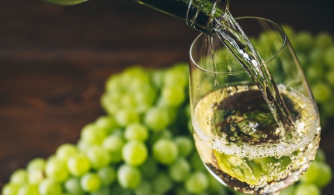 Charla sobre el Chardonnay con Carlos González en el ciclo 'Cepas' del Museo de la Vid y el Vino
