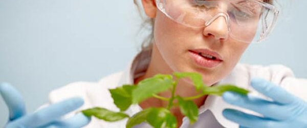 La biotecnología como herramienta de ayuda para la agricultura familiar