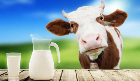 'La vaca atada' ayuda a resolver un pleito por daños y perjuicios en Salta