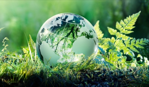 La hora de la Naturaleza