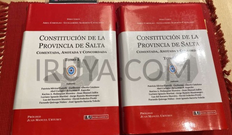 'Un compromiso de campaña no basta para llevarse por delante el edificio constituyente', dice el FOCIS