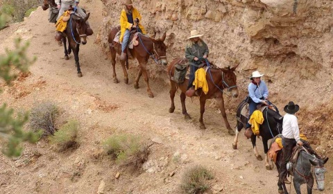 ¿De quién es la responsabilidad de los largos desplazamientos de maestros y alumnos en las montañas de Salta?