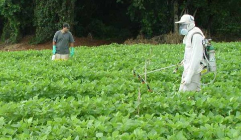 La FAO advierte que el uso de fertilizantes sobrepasará los 200 millones de toneladas en 2018
