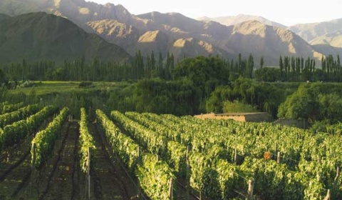 Salta lanza su campaña turística de verano en la Feria Internacional de Turismo
