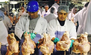 La Argentina podrá exportar carne de ave a Canadá