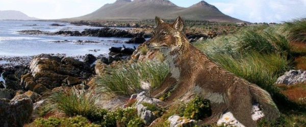 Día Mundial del Medio Ambiente y la biodiversidad en las Islas Malvinas