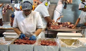 Experta de la ONU alerta de formas de esclavitud ocultas en las cadenas de producción
