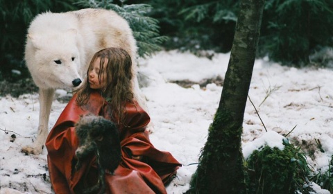 El Cine Arte de Salta proyecta el film 'Sobreviviendo con lobos'