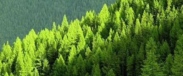CEPAL y países de América Latina buscan un pacto de gobernanza de los recursos naturales