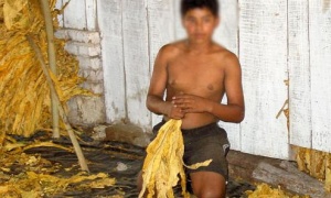Se celebra hoy el Día Internacional para la Abolición de la Esclavitud
