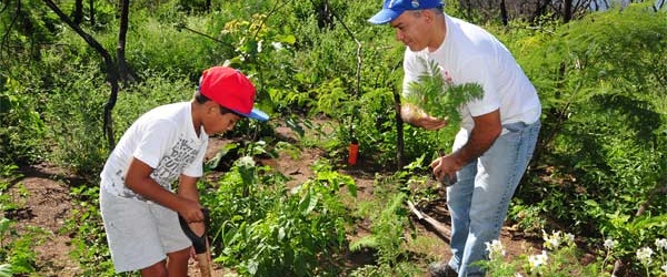 El nuevo vivero forestal de Orán producirá un millón de plantines por año