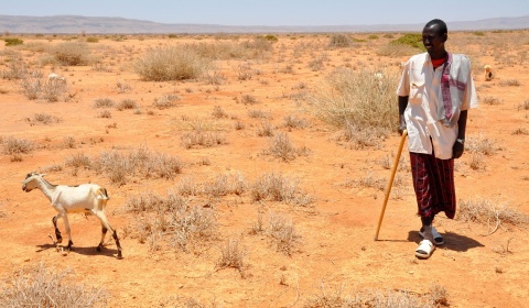 El cambio climático pondrá en riesgo el agua y la comida del planeta