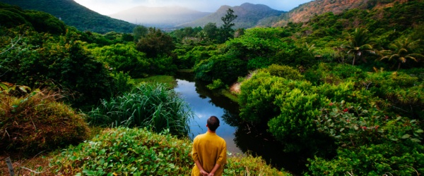 26 de enero: Día Mundial de la Educación Ambiental