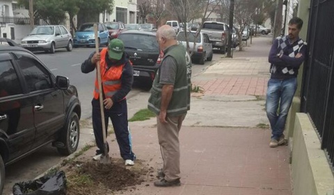 La campaña #Arbolate entrega árboles a 780 familias