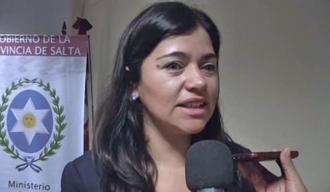 Feministas a sueldo del gobierno buscan colocarse como asesoras de incapaces antes de que Urtubey deje su cargo