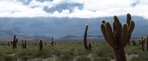 Parque Nacional Los Cardones, naturaleza viva en Semana Santa
