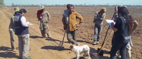 Sancionada una finca en Colonia Santa Rosa por tener trabajadores en negro