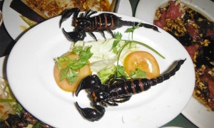 Brochetas de alacranes fritos: el plato que causa sensación en el estío salteño