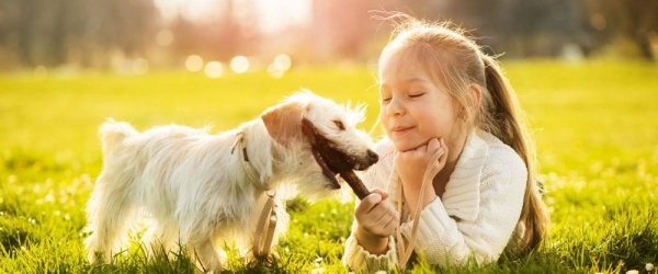 El mal tiempo obliga a reprogramar la feria de adopción de mascotas en el Parque San Martín