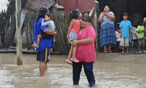 Sepamos distinguir entre solidaridad e improvisación