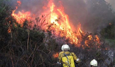 Efectos ambientales de los incendios forestales