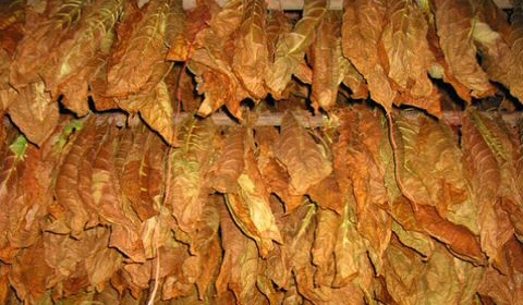 La 'paritaria' del tabaco saltojujeño acuerda un incremento del 28%