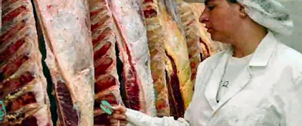 La Argentina podrá exportar carne con hueso a China