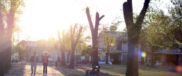 Tras la poda municipal, vuelven a brotar los árboles de la Plaza Gurruchaga