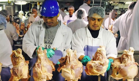 La Argentina podrá exportar carne de ave a Canadá