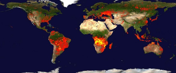 Efectos del cambio climático sobre la biodiversidad