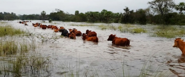 El costo económico del cambio climático