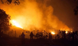 Los incendios forestales se deben prevenir en invierno