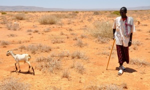 El cambio climático pondrá en riesgo el agua y la comida del planeta