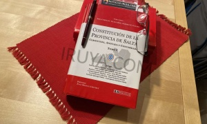 Nace en Salta una Convención Constituyente prisionera y abocada al fracaso democrático