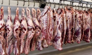 Récord de exportaciones de carne argentina en octubre