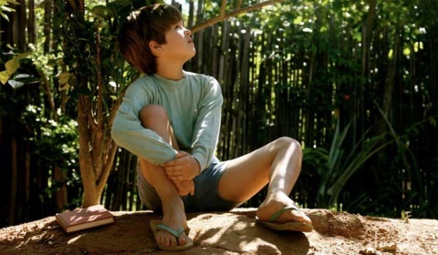 'Mi planta de naranja lima' en el ciclo de cine de la Casa Tedín de Cachi