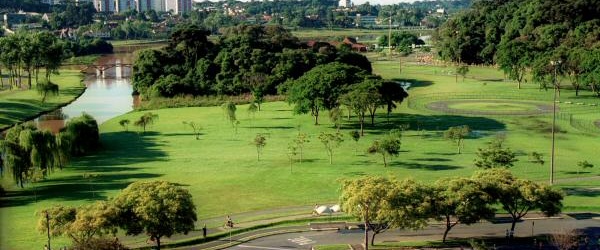 'Reverdece tu ciudad': el plan de forestación del intendente Sáenz