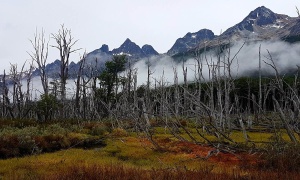 El cambio climático está afectando cada vez más a las áreas de conservación