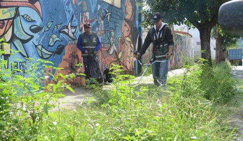 En un mes, la Municipalidad desmalezó 200 hectáreas de espacios verdes