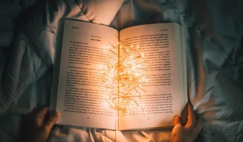 Filosofía, el amor a la sabiduría