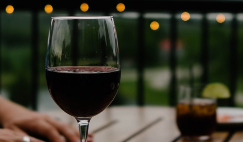 Charla sobre el Merlot con Rafael Domingo en el ciclo 'Cepas' del Museo de la Vid y el Vino