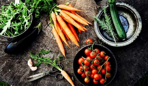 Nuestra biodiversidad, nuestra alimentación, nuestra salud