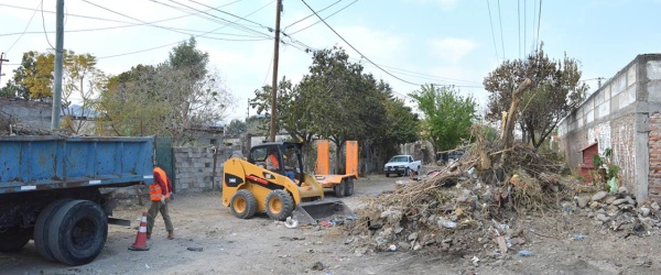 Día Mundial del Hábitat: Manejo de residuos sólidos municipales