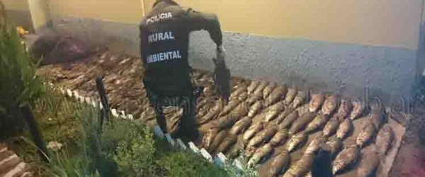 La Policía de Salta secuestra bagres, sábalos y viejas del agua en un operativo de control de pesca