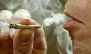 34 empresas se apuntan en Uruguay para explotar la industria del cannabis