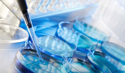 Nueva condena judicial al IPS de Salta en materia de fertilización asistida