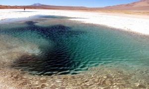 Se celebra hoy el Día Mundial de los Humedales 2017