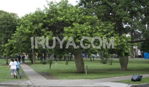 Capoeira en el anfiteatro Cuchi Leguizamón del Parque San Martín