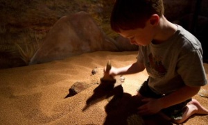 'Arqueólogos: Especial laboratorio' en el MAAM de Salta